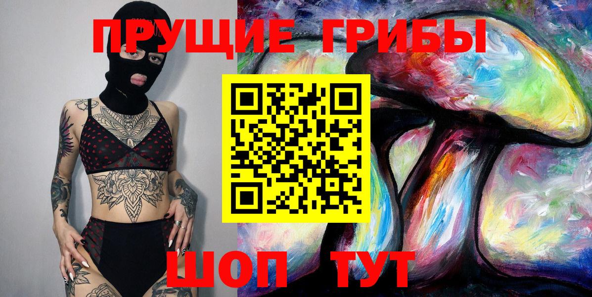 Галлюциногенные грибы прущие грибы  где купить наркотик  Кизляр  Вход с VPN 